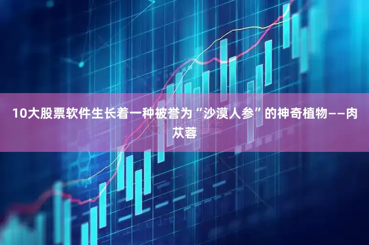 10大股票软件生长着一种被誉为“沙漠人参”的神奇植物——肉苁蓉
