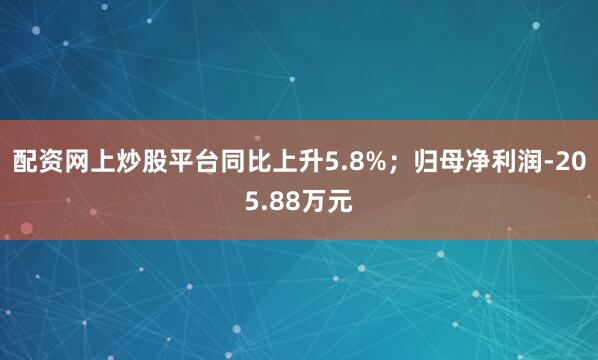 配资网上炒股平台同比上升5.8%；归母净利润-205.88万元