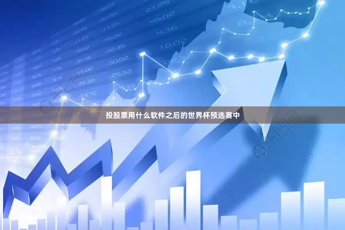 投股票用什么软件之后的世界杯预选赛中