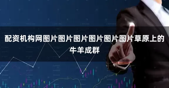 配资机构网图片图片图片图片图片图片草原上的牛羊成群